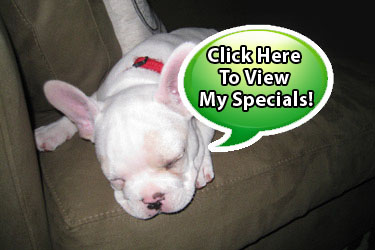 Earl's Specials